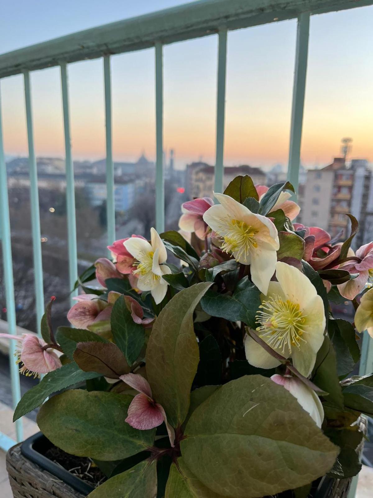 Attico Ellen Terrazza Con Vista Daire Torino Dış mekan fotoğraf