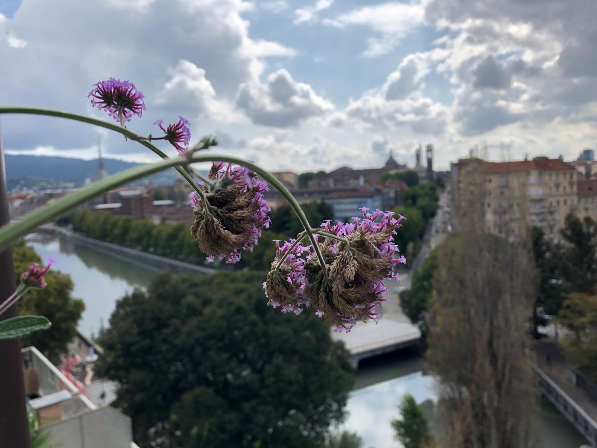 Attico Ellen Terrazza Con Vista Daire Torino Dış mekan fotoğraf