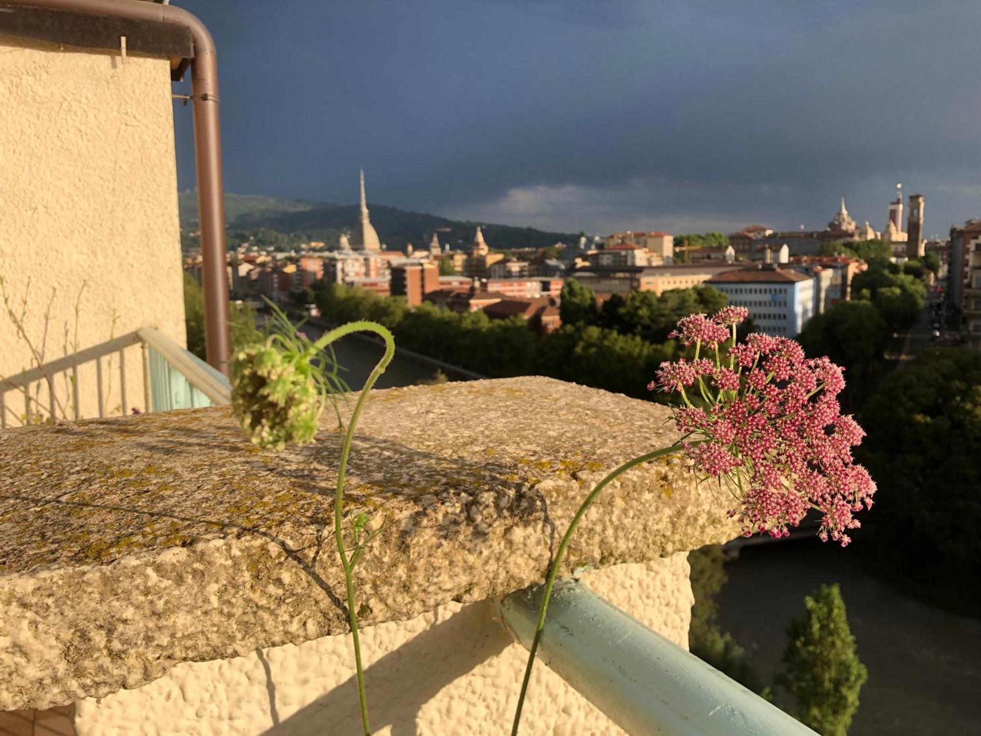 Attico Ellen Terrazza Con Vista Daire Torino Dış mekan fotoğraf