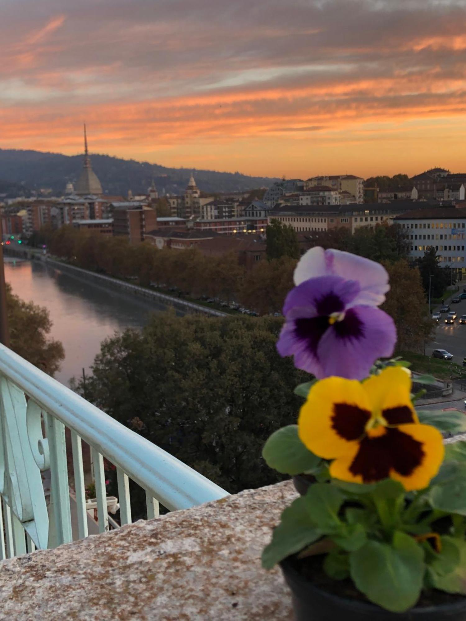 Attico Ellen Terrazza Con Vista Daire Torino Dış mekan fotoğraf
