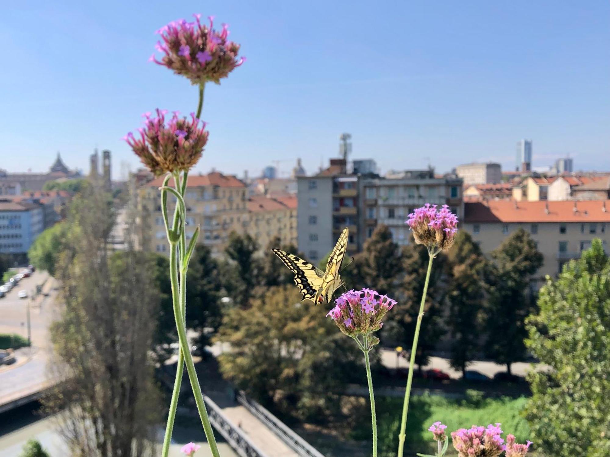 Attico Ellen Terrazza Con Vista Daire Torino Dış mekan fotoğraf
